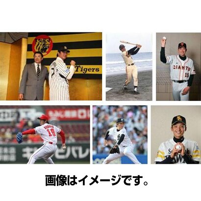 2013 BBM ベースボールカード ルーキーエディション