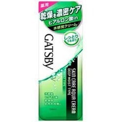 ヨドバシ Com ギャツビー Gatsby マンダム Mandom 薬用スキンケアアクアクリーム 170ml 医薬部外品 通販 全品無料配達 ヨドバシ Com ギャツビー Gatsby マンダム Mandom 薬用スキンケアアクアクリーム 170ml 医薬部外品 通販 全品無料配達