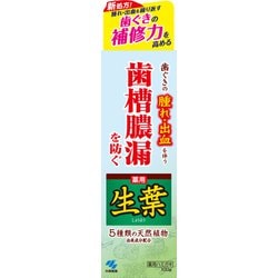 生葉（しょうよう） 歯槽膿漏を防ぐ 薬用ハミガキ ハーブミント味 100g 【医薬部外品】