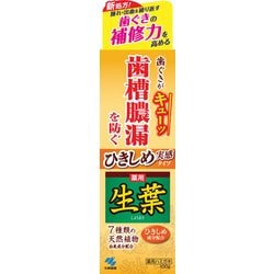 生葉（しょうよう）薬用歯磨き 歯槽膿漏 ひきしめ実感タイプ 100g [歯磨き粉 医薬部外品]