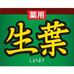 ヨドバシ.com - 小林製薬 生葉 生葉（しょうよう）薬用歯磨き 歯槽膿漏