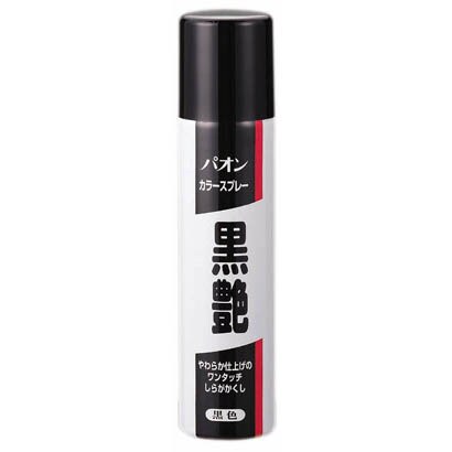 パオン カラースプレー黒艶 黒色 白髪用着色料