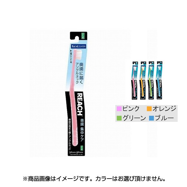 リーチ 奥歯 集中ケア ちょっとコンパクト かため