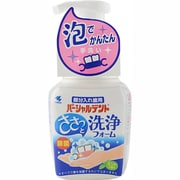 パーシャルデント 洗浄フォーム 部分入れ歯用 泡 入れ歯洗浄剤 ミントの香り 除菌 消臭 ポンプタイプ 250m