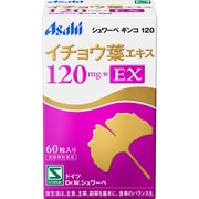シュワーベギンコ 120 EX [イチョウ葉エキス：120mg]