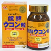 醗酵 ウコン粒 250粒
