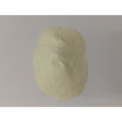 ヨドバシ.com - 生存環境科学研究所 スターリミルク 20g×32包