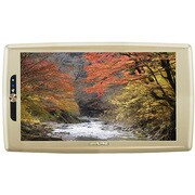 PCX-M900Z-GD [プラズマクラスター技術搭載 9.0型WVGA LED液晶リアビジョン ゴールド]