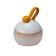 ソリッドステートランタン たねほおずき ホワイト ES-040WH