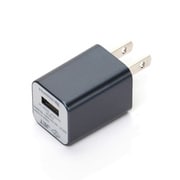 PG-IPDUAC01BK [iPod用USBポート付AC充電器 ブラック]