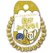 こどもぶれすれっと 運がよくなりたい！ ZB-KID-0104