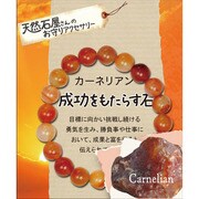天然石屋さんブレス カーネリアン ZB-SIM-0304