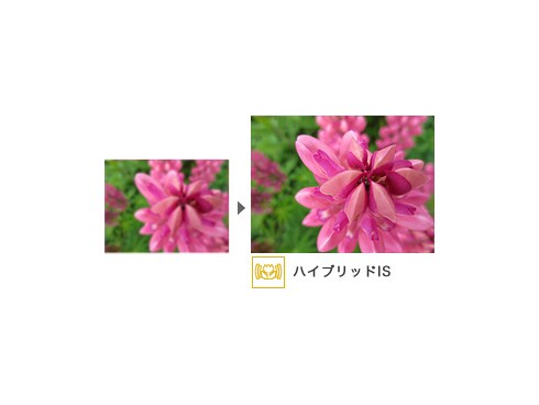 ヨドバシ.com - キヤノン Canon IXY 90F PK ピンク [コンパクト