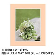 Uclidマットフレーム 6切 クリーム