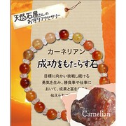 天然石屋さん カーネリアン ボタンカット ZB-SIM-0404