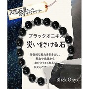 天然石屋さん ブラックオニキス ボタンカット ZB-SIM-0418