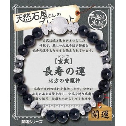 【玄武】長寿の運・北方の守護 ZB-SAP-0706