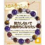努力しないでお金持ちになりたい ZB-SAP-0505