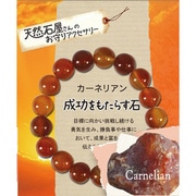 ブレスレット【12mm】 カーネリアン ZB-SIM-0503