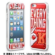 CSIAF516-RED Cushi+iP5 Retro [iPhone 5用]