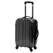 ハードスーツケース/ファスナー 旅行日数目安:2~3泊 45L TSAロック搭載 ブラックチェック LA-0607-55