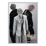 FINAL FANTASY VII ADVENT CHILDREN(ファイナルファンタジー7 アドベント チルドレン) カードスリーブ 神羅