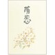 萌葱（もえぎ） セミB5 便箋 セン303