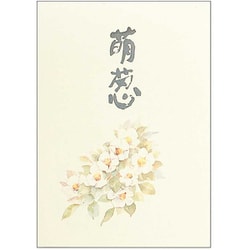 萌葱（もえぎ） セミB5 便箋 セン303