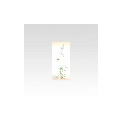 野の花 一筆箋セット ナガミヒナゲシ LET2M