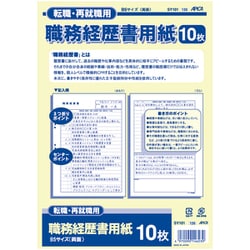 職務経歴書 B5（両面） SY101