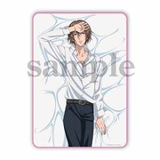 新テニスの王子様　うたたねの王子様　不二ver.