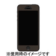 APA06-018LEBK [The Surface for iPhone 5 (Front) Leather/Black]
