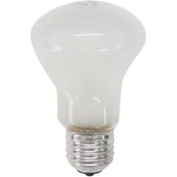 モデリングランプ 100W 90V-120V 23006
