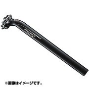 R04 SPT WCS CARBON1ボルト 27.2x350