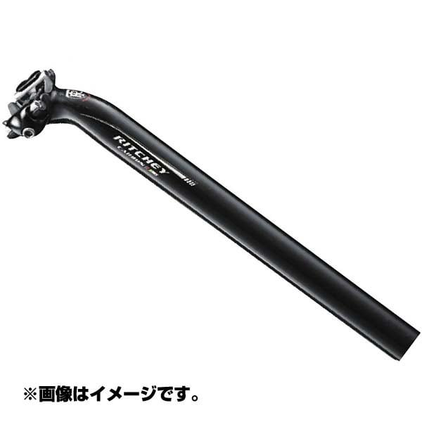 R04 SPT WCS CARBON1ボルト 31.6x400