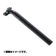 R04 SPT SUPERLOGIC CARBON1ボルト ポスト 31.6
