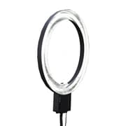 Beglight BL-65 TS-575-BL
