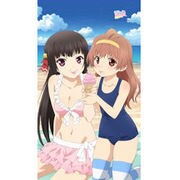 お兄ちゃんだけど愛さえあれば関係ないよねっ マルチタペストリー　のれん [秋子＆ありさ]