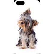 J-04548-1 [iPhone5用 プラハードケース ドッグ&キャッツ パピーA]