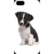 J-04548-2 [iPhone5用 プラハードケース ドッグ&キャッツ パピーB]