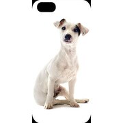 J-04548-4 [iPhone5用 プラハードケース ドッグ&キャッツ パピーD]