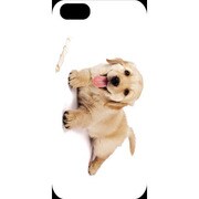 J-04548-6 [iPhone5用 プラハードケース ドッグ&キャッツ パピーF]