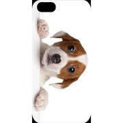 J-04548-7 [iPhone5用 プラハードケース ドッグ&キャッツ パピーG]