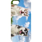 J-04548-8 [iPhone5用 プラハードケース ドッグ&キャッツ ツインパピー]