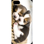 J-04548-9 [iPhone5用 プラハードケース ドッグ&キャッツ スリーピーパピー]