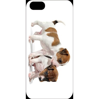 J-04548-10 [iPhone5用 プラハードケース ドッグ&キャッツ プレイパピーA]