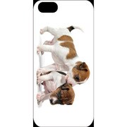 J-04548-10 [iPhone5用 プラハードケース ドッグ&キャッツ プレイパピーA]