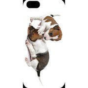J-04548-11 [iPhone5用 プラハードケース ドッグ&キャッツ プレイパピーB]