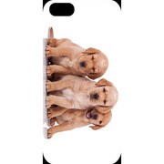 J-04548-12 [iPhone5用 プラハードケース ドッグ&キャッツ スリーパピーA]