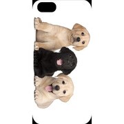 J-04548-13 [iPhone5用 プラハードケース ドッグ&キャッツ スリーパピーB]